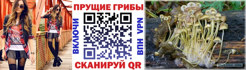 даркнет сайт  Мостовской  Псилоцибиновые грибы мухоморы 